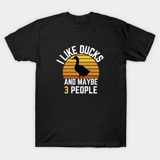 I like ducks and maybe 3 people: Sunset Retro Vintage T-Shirt by GoodWills